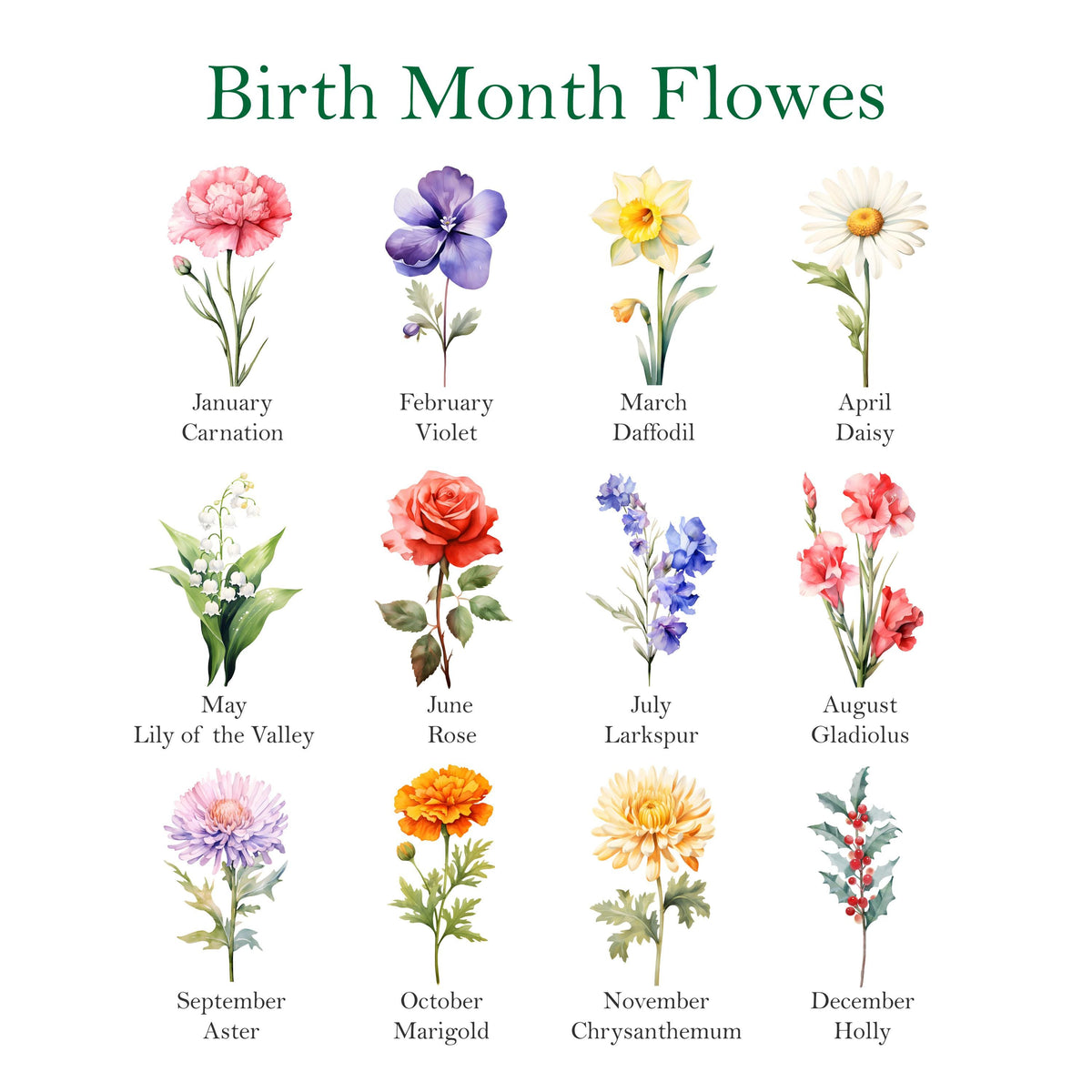 May include: A chart titled "Birth Month Flowers" displays watercolor illustrations of flowers representing each month. The flowers include a carnation, violet, daffodil, daisy, lily of the valley, rose, larkspur, gladiolus, aster, marigold, chrysanthemum, and holly.
