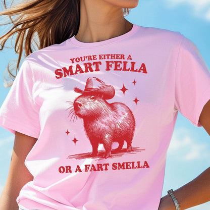 May include: Pink t-shirt with a red graphic of a capybara wearing a cowboy hat. The text above the capybara reads "YOU'RE EITHER A SMART FELLA" and below it reads "OR A FART SMELLA".