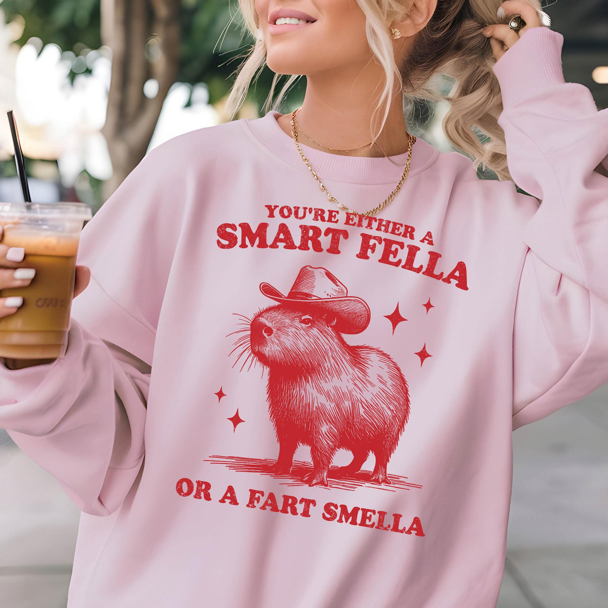 May include: Light pink sweatshirt with a red graphic of a capybara wearing a cowboy hat. The text reads "You're either a smart fella or a fart smella". The sweatshirt has long sleeves and a crew neck.