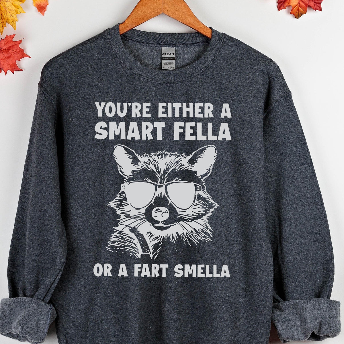 Funny Raccoon Hoodie: Retro 90s Sweatshirt