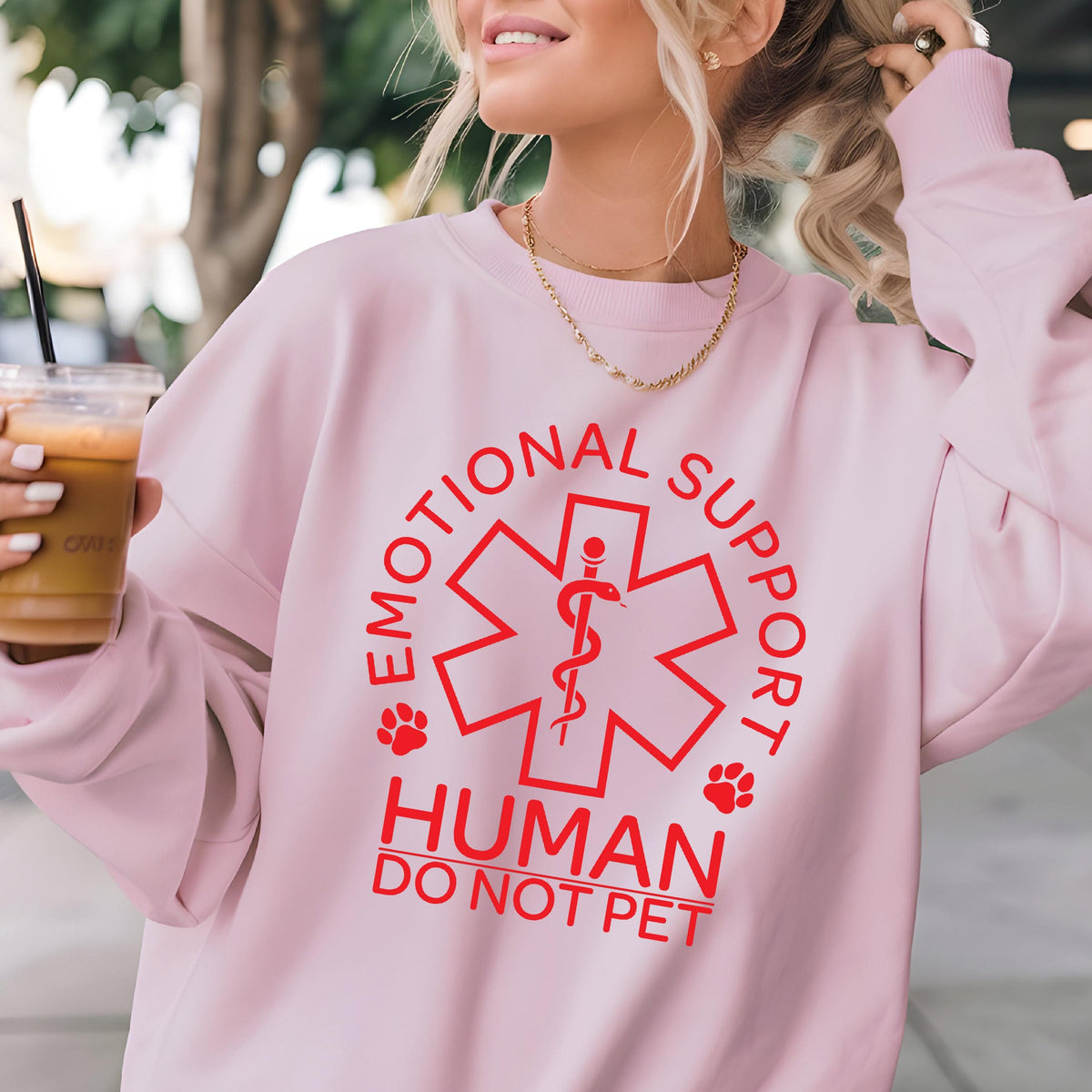 May include: Pink sweatshirt with a red graphic of a medical symbol with a snake and the text "Emotional Support Human Do Not Pet" around it.