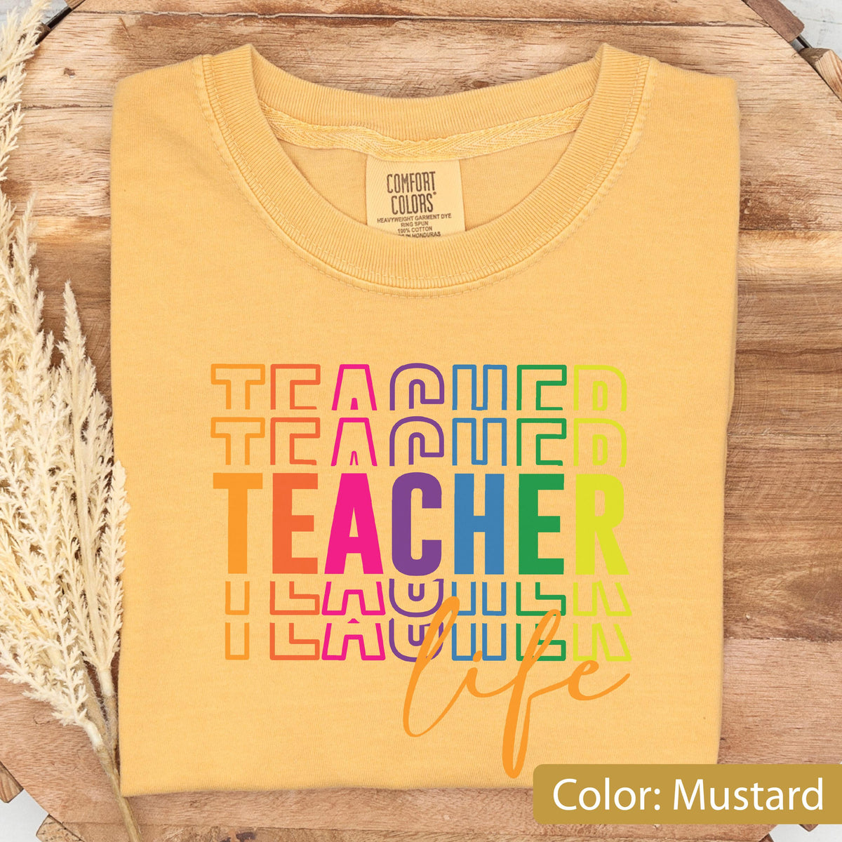 Comfort Colors Teacher Life Shirt: Rainbow Educator Tee, Teacher Appreciation Gift