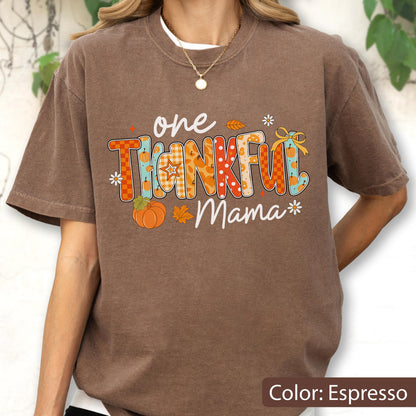 May include: Espresso-colored t-shirt with the words "one THANKFUL Mama" in a colorful, fall-themed design. The design includes pumpkins, leaves, and floral accents. The shirt has short sleeves and a crew neck.