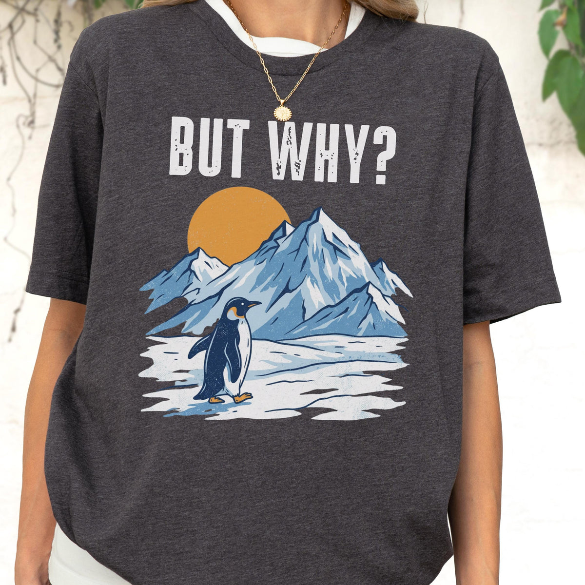May include: Dark gray t-shirt with a graphic featuring a penguin standing in front of snow-covered mountains and a yellow sun. The text "BUT WHY?" is printed above the mountain scene in white block letters. The shirt has a crew neck and short sleeves.
