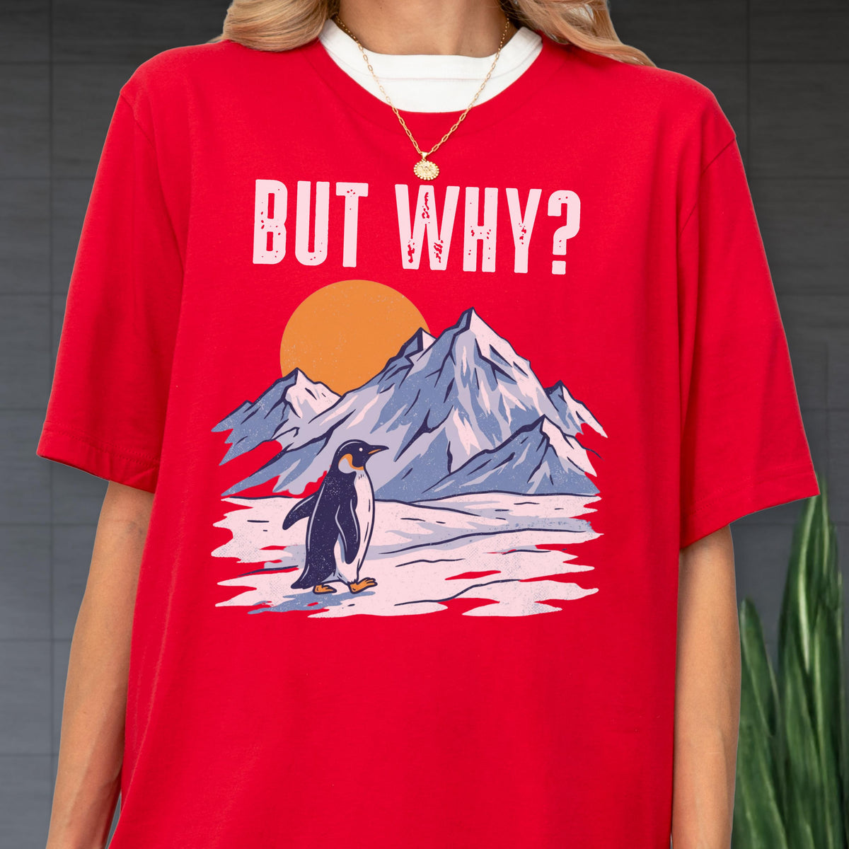 May include: Red t-shirt with the text "BUT WHY?" above a graphic of a penguin in a snowy landscape with mountains and a sun. The penguin is black and white.