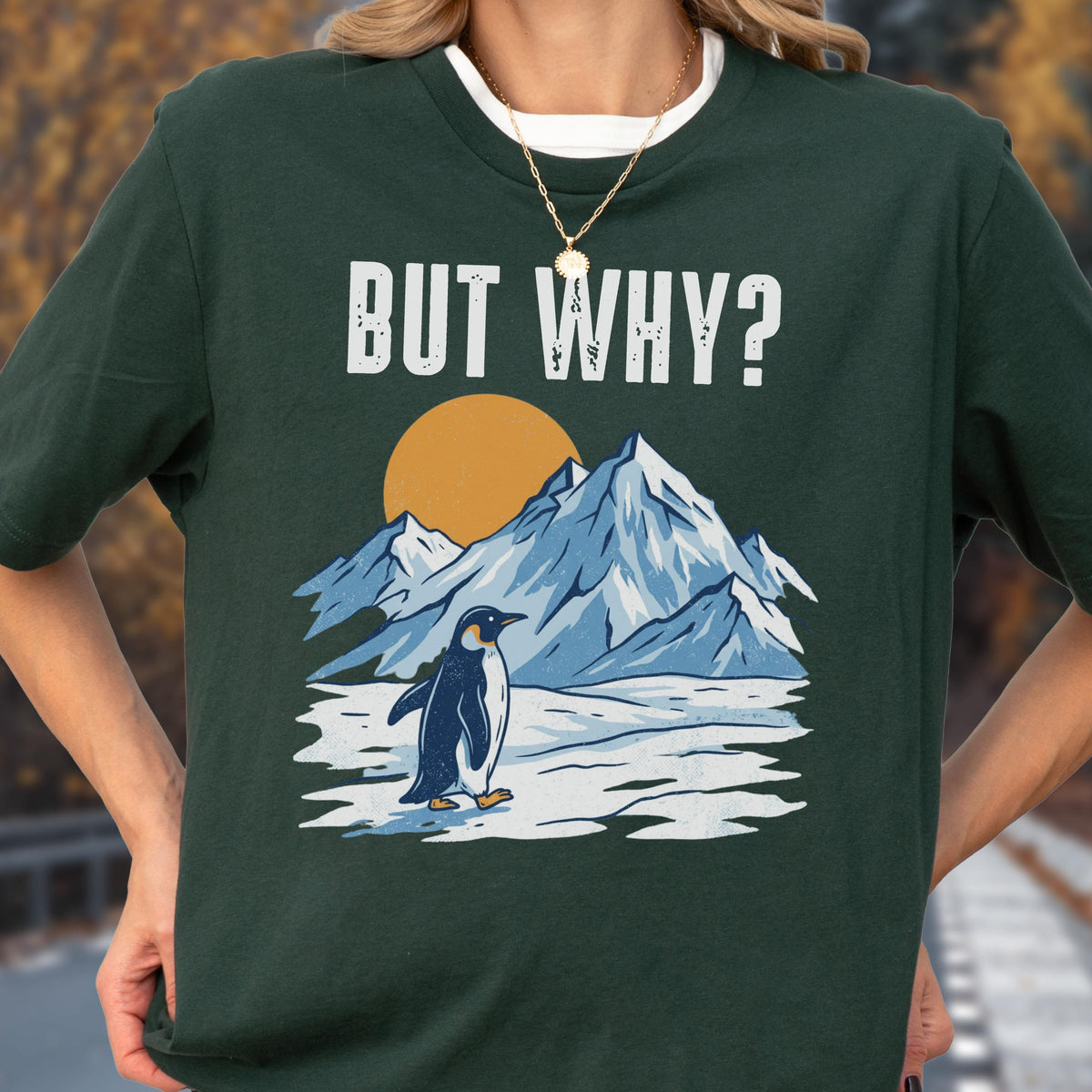 May include: Dark green t-shirt with the text "BUT WHY?" above a graphic of a penguin standing on ice in front of mountains and a sun. The penguin is black and white. The mountains are blue and white.