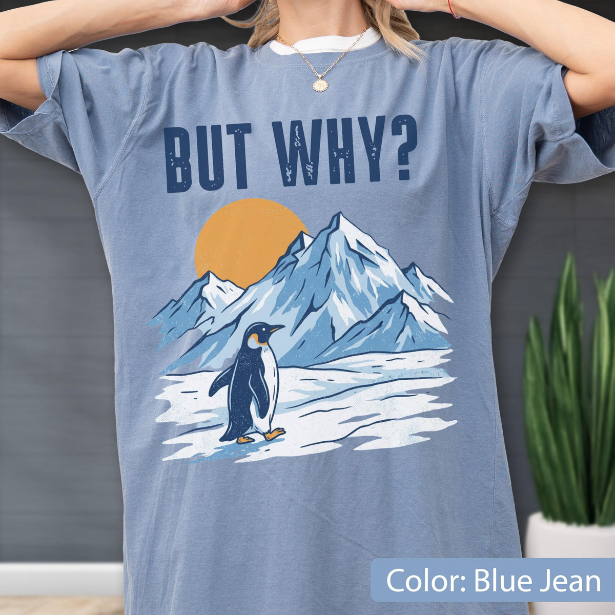 May include: Blue jean-colored t-shirt with a graphic of a penguin standing in front of a mountain range and a setting sun. The text "BUT WHY?" is printed above the mountain scene. The shirt is a relaxed fit.