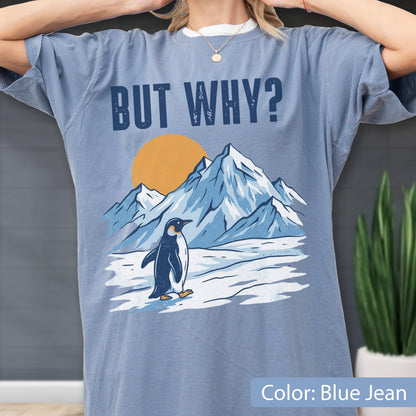 May include: Blue jean-colored t-shirt with a graphic of a penguin standing in front of a mountain range and a setting sun. The text "BUT WHY?" is printed above the mountain scene. The shirt is a relaxed fit.