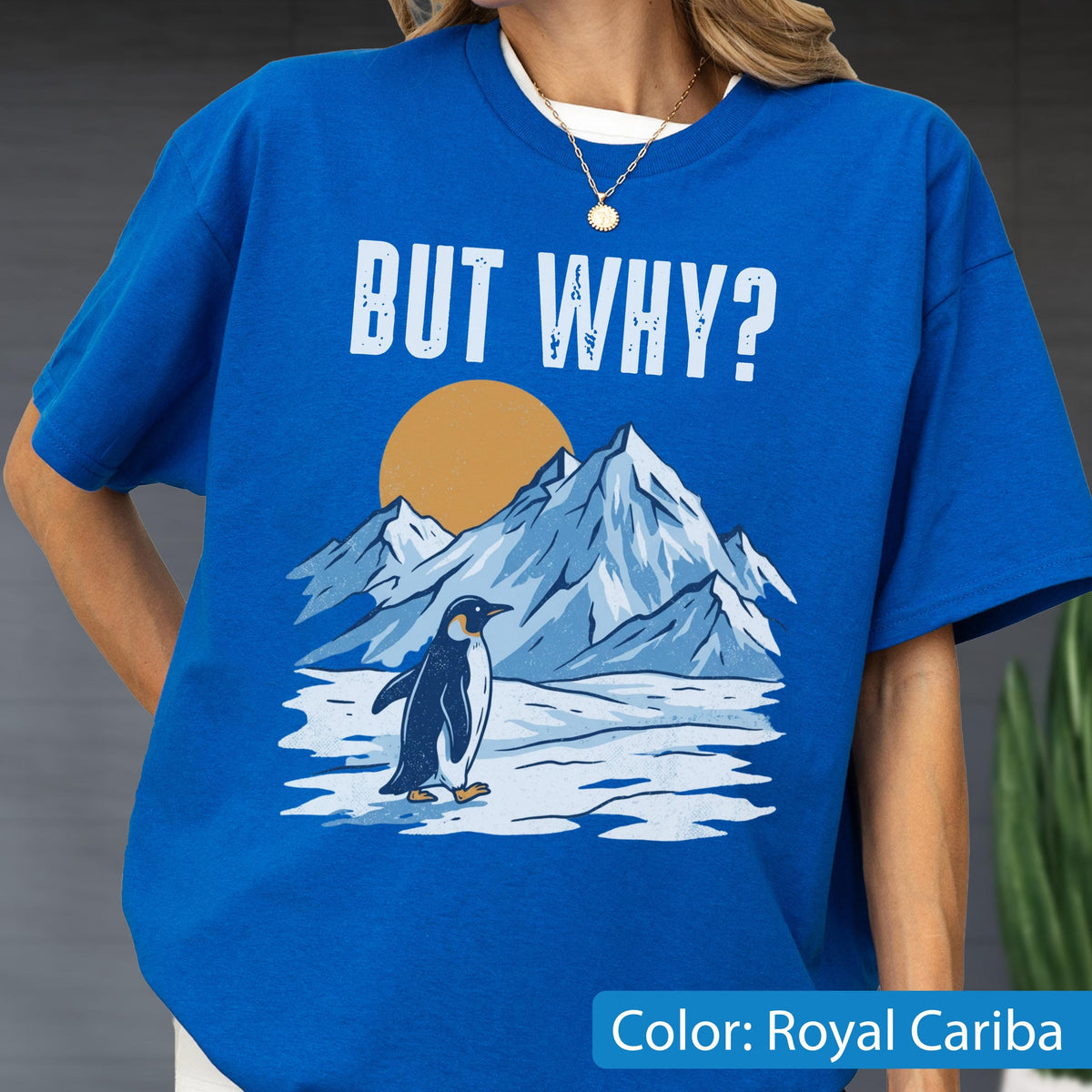May include: Royal blue t-shirt with a graphic of a penguin standing in front of a mountain range and a sun. The text "BUT WHY?" is above the mountain scene. The shirt is a solid color with a white crew neck collar.