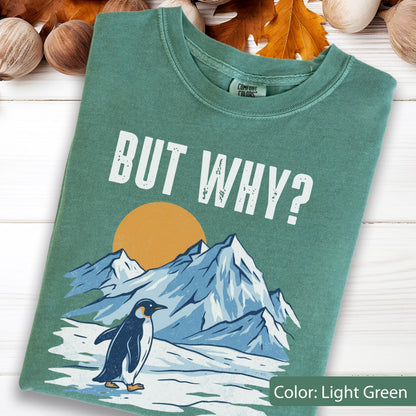 May include: Light green t-shirt with the text "BUT WHY?" above a graphic of a penguin, mountains, and a sun. The penguin is black and white, and the mountains are blue. The sun is orange.