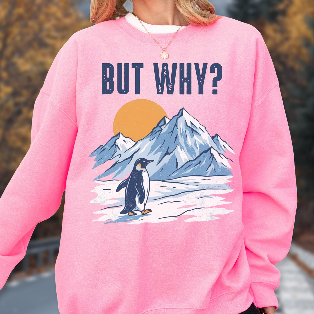 May include: Pink sweatshirt with the text "BUT WHY?" above a graphic of a penguin walking in front of mountains and a sun. The penguin is black and white, and the mountains are blue and white.