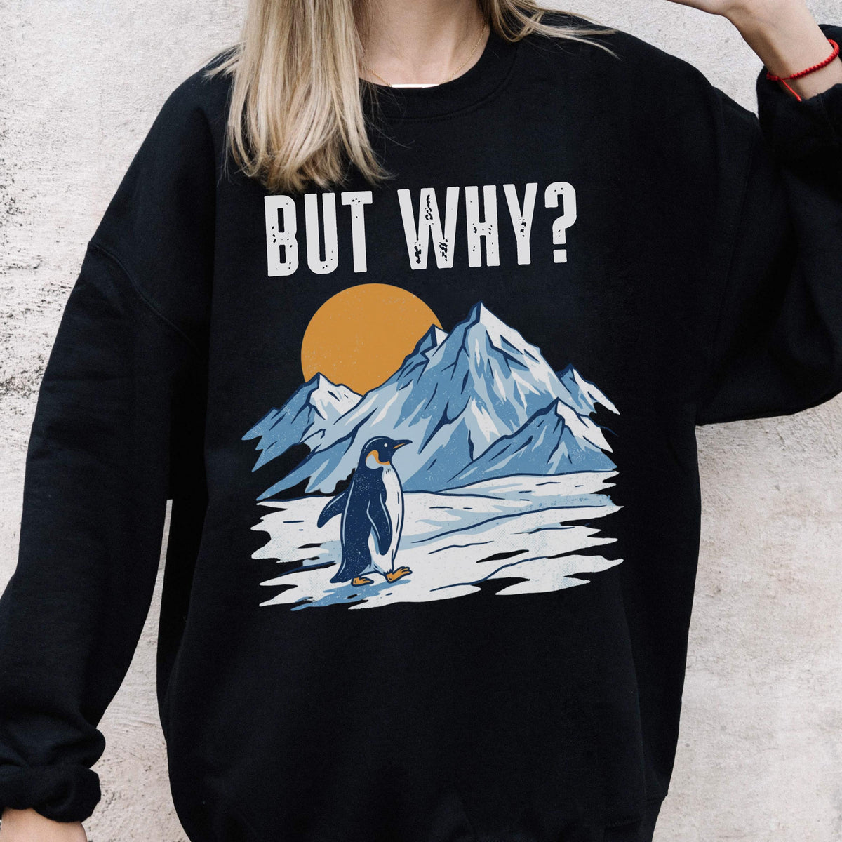 May include: Black sweatshirt with a graphic of a penguin standing in front of mountains and a sun. The text "BUT WHY?" is printed above the graphic in white block letters. The sweatshirt is a crew neck.