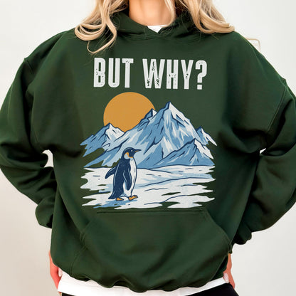 May include: Dark green hoodie with a graphic of a penguin standing in front of snow-covered mountains and a yellow sun. The text "BUT WHY?" is printed above the graphic in white.