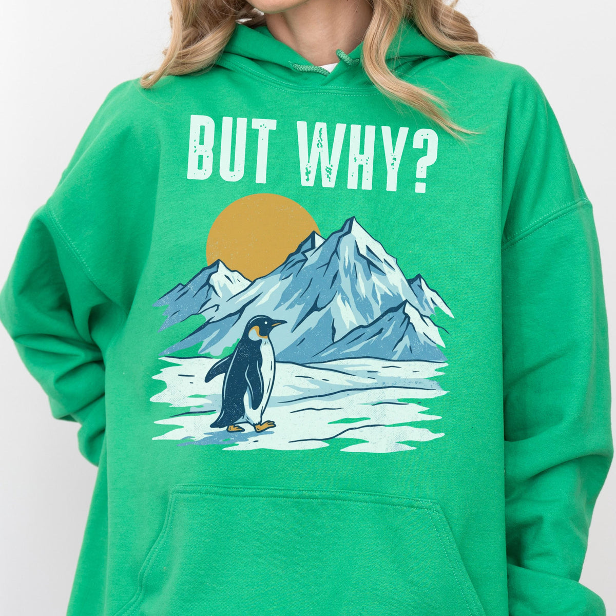 May include: Green hooded sweatshirt with the text "BUT WHY?" above a graphic of a penguin, mountains, and a sun. The penguin is black and white, the mountains are blue and white, and the sun is yellow.