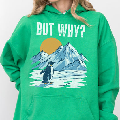 May include: Green hooded sweatshirt with the text "BUT WHY?" above a graphic of a penguin, mountains, and a sun. The penguin is black and white, the mountains are blue and white, and the sun is yellow.