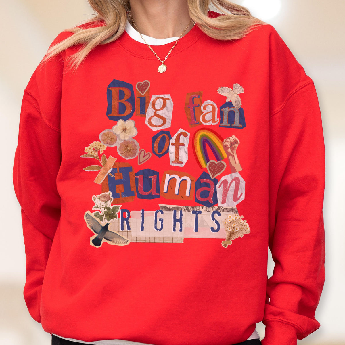 May include: A red sweatshirt with the words "Big fan of Human Rights" in a collage style. The design includes a rainbow, hearts, and floral elements. The sweatshirt has a crew neck and long sleeves.