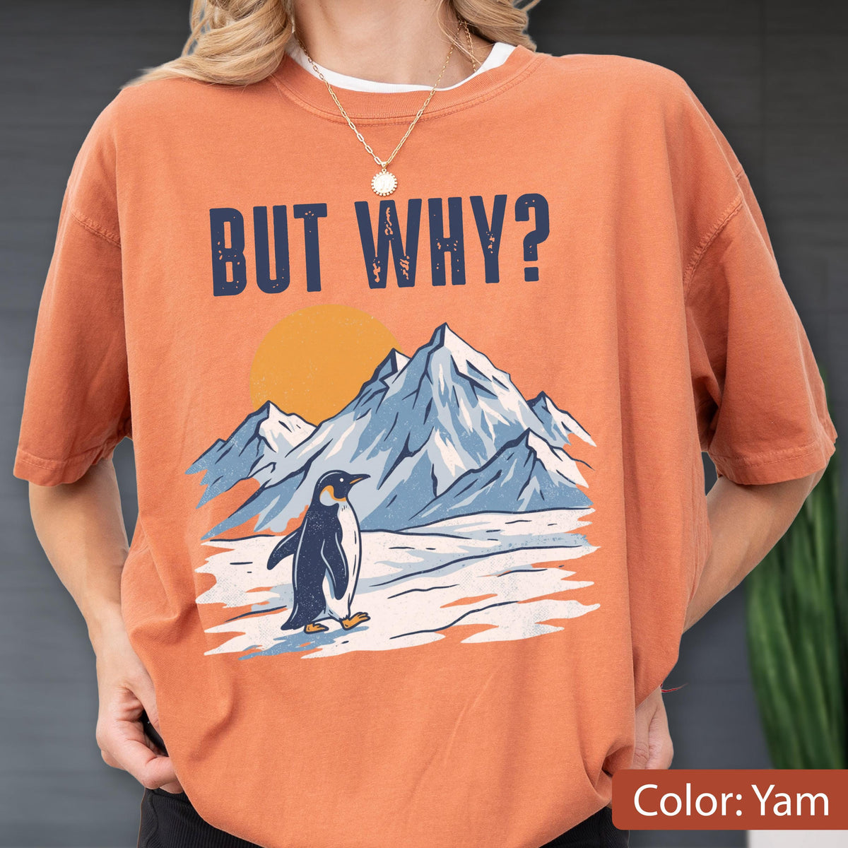 May include: Orange t-shirt with the text "BUT WHY?" above a graphic of a penguin, mountains, and a sun. The penguin is black and white, and the mountains are blue and white.