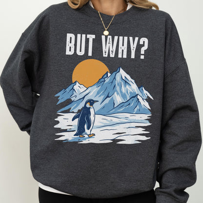 May include: Dark gray sweatshirt with a graphic of a penguin standing on ice in front of mountains and a setting sun. The text "BUT WHY?" is printed above the graphic in white block letters. The sweatshirt is a crew neck style.