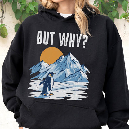 May include: Black hoodie with a graphic of a penguin standing on ice in front of mountains and a setting sun. The text "BUT WHY?" is printed above the graphic in white.