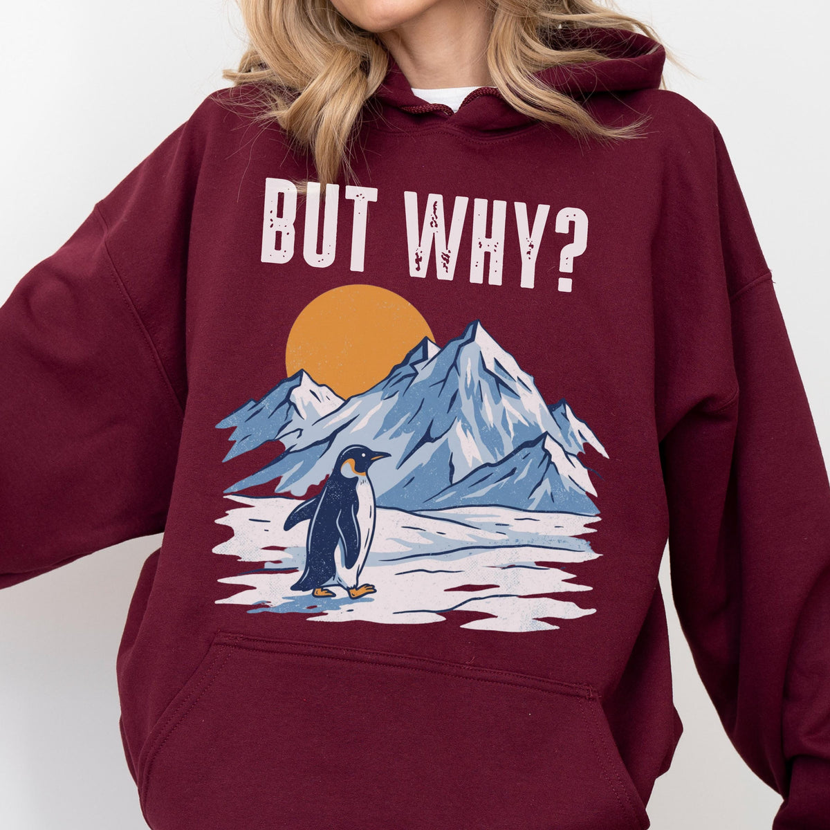 May include: Burgundy hoodie with the text "BUT WHY?" above a graphic of a penguin, mountains, and a sun. The penguin is black and white, and the mountains are blue and white.