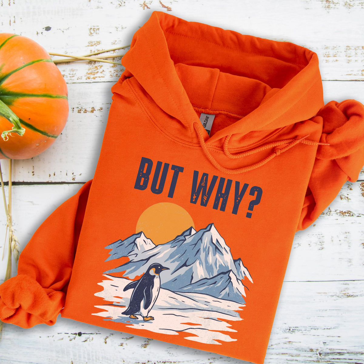 May include: An orange hoodie with the text "BUT WHY?" above a graphic of a penguin standing on snow in front of mountains and a setting sun. The hoodie is made of a soft material.