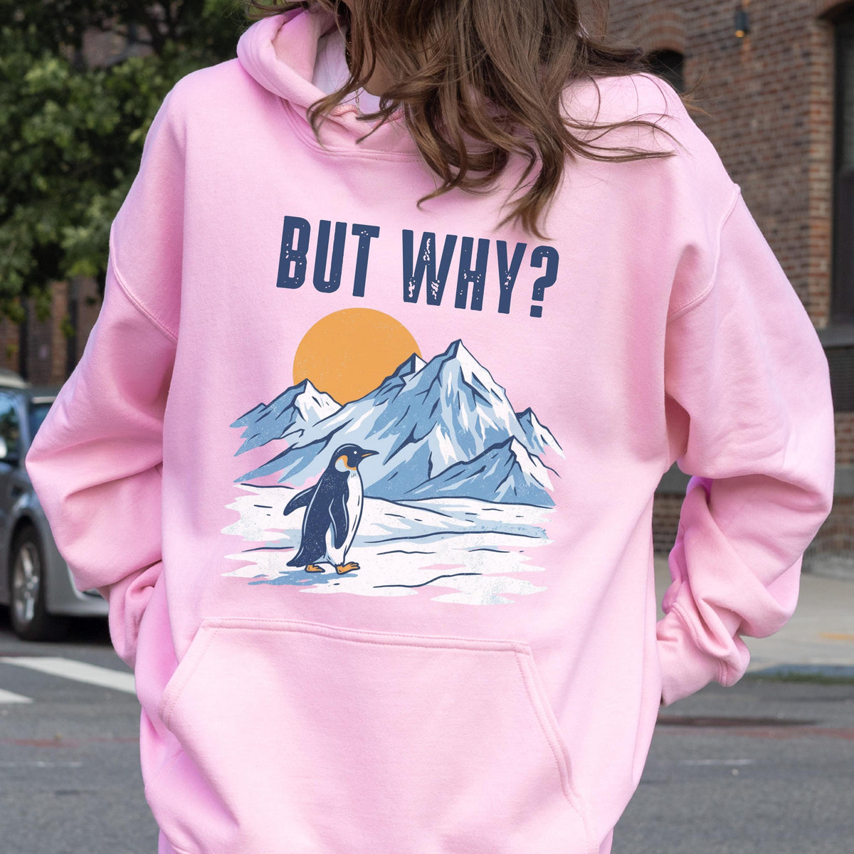 May include: A light pink hoodie with a front pocket and a drawstring hood. The back features a graphic of a penguin in front of snow-capped mountains and a rising sun, with the text "BUT WHY?" above.