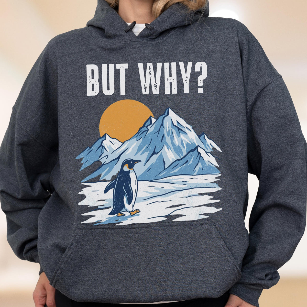 May include: Dark gray hoodie with a graphic featuring a penguin standing on ice in front of snow-capped mountains and a yellow sun. The text "BUT WHY?" is printed above the graphic in white.