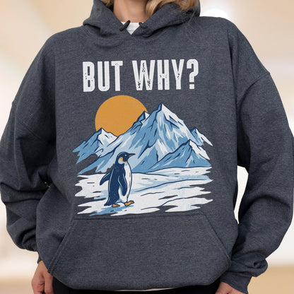 May include: Dark gray hoodie with a graphic featuring a penguin standing on ice in front of snow-capped mountains and a yellow sun. The text "BUT WHY?" is printed above the graphic in white.