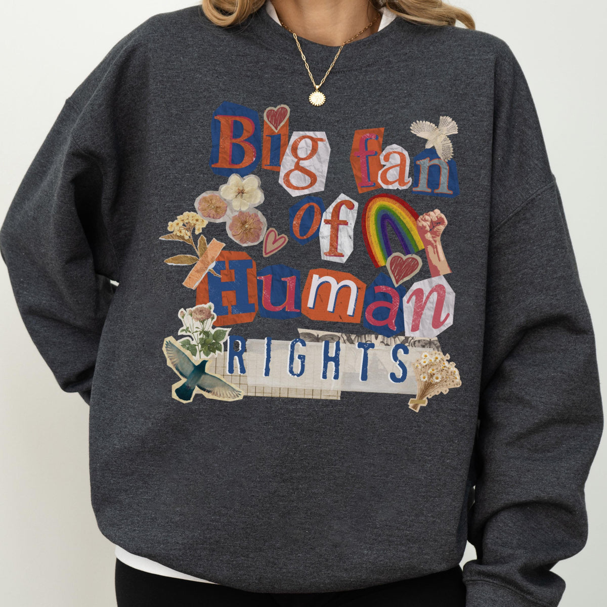 May include: Dark gray sweatshirt with the text "Big fan of Human Rights" in a collage style. The design includes a rainbow, hearts, and floral elements. The sweatshirt is a casual, comfortable style.